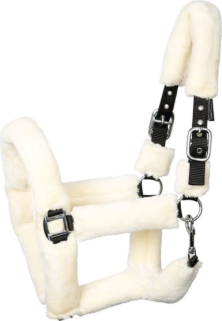 Harry's Horse Halster Teddy Pony