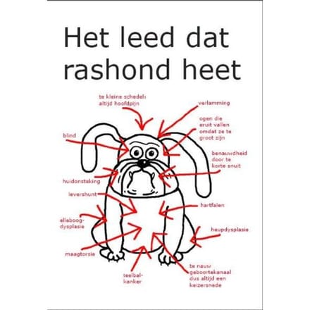 Het Leed Dat Rashond Heet - Uitgeverij De Graveinse Abeel
