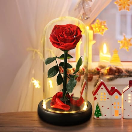 Roos onder glazen koepel - Eeuwige roos Bewaarde bloem - Decoratie en cadeau - Echte roos behoudt kleur