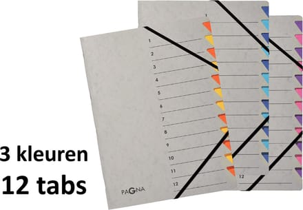 3 x Pagna sorteermap Easy Grey - 12 tabs - A4 assorti