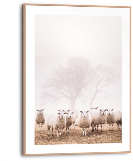 Schilderij Schaap in de mist - 40 x 30 - Hout - REINDERS