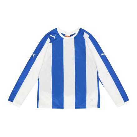 Puma Kinder Langarm Trainingsshirt (Blauw)