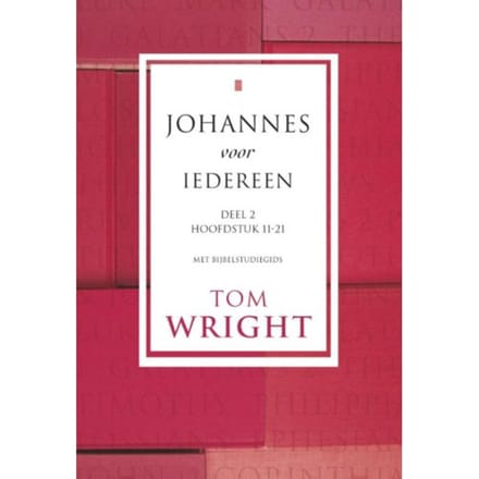 Johannes Voor Iedereen / 2 Hoofdstuk 11-21 - Tom Wright