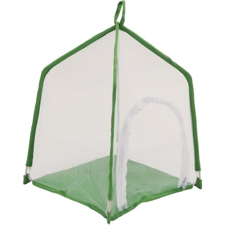Cage à insectes en forme de maison, cage de jardinage ornementale exquise pour expérience d'éducation scientifique white