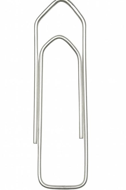 Spaceworx - Paperclips - 30 mm – 100 Stuks – Metaal Kantoorclips