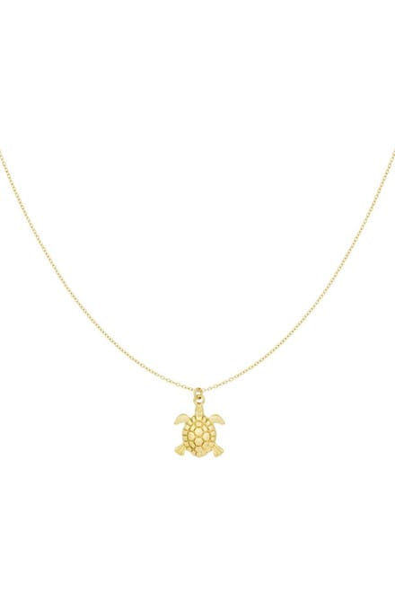 Bijoutheek Collier Schildpad Goud