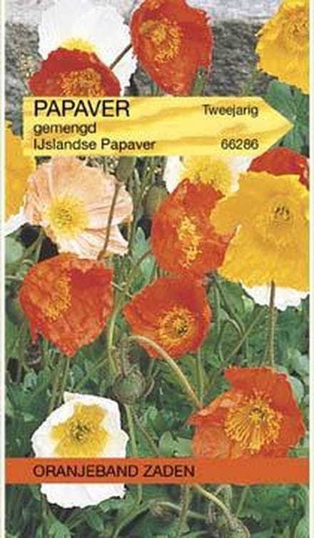 Papaver, IJslandse Klaproos gemengd