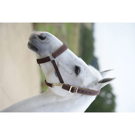 Bucas Halster Comfort Bruin - middel