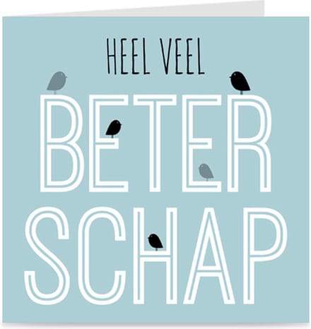 HEEL VEEL BETERSCHAP | kaart / wenskaart met envelop | vogeltjes