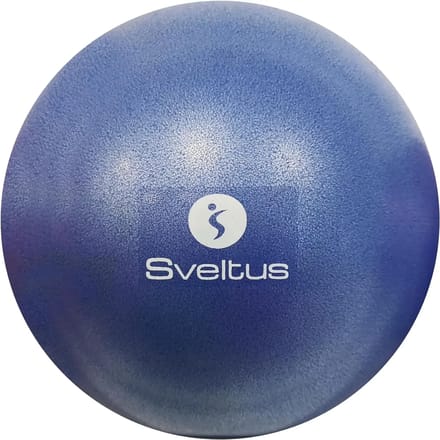 Educatieve ballon Sveltus