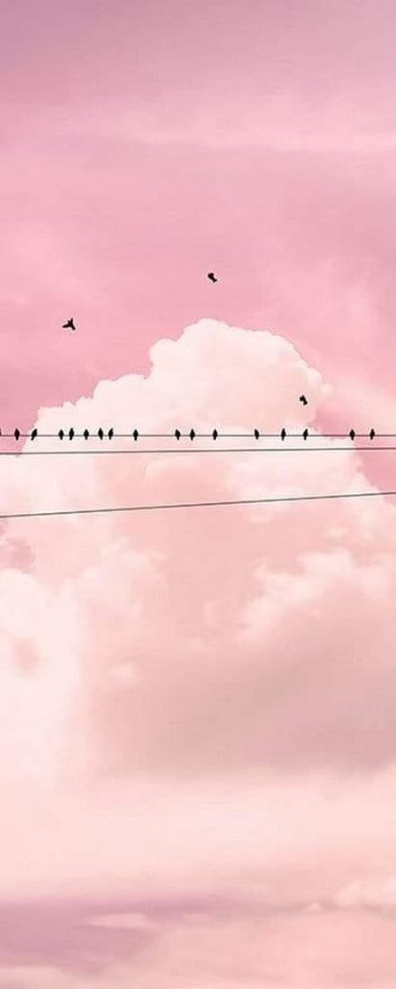 Fotobehang - Cloud Wire 100x250cm - Vliesbehang