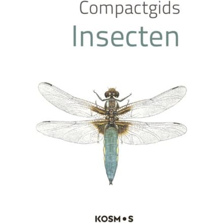 Compactgids Insecten - Compactgidsen Natuur