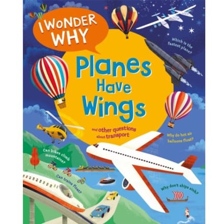 I Wonder Why Planes Have Wings - I Wonder Why - Christopher Maynard
