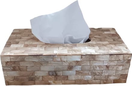 Cosy Creations Tissue box goud Capiz schelpen 24x12x7cm