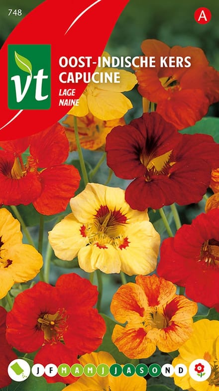 Oost-Indische Lage Kers Zaden - Makkelijk te Kweken met Eetbare Bloemen en Bladeren