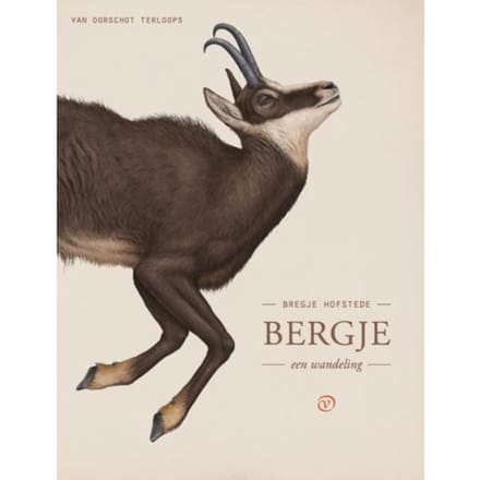Bergje - Terloops - Bregje Hofstede