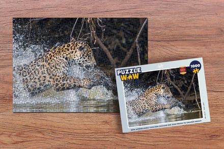 Puzzel Jaguar - Jacht - Prooi - Legpuzzel - Puzzel 1000 stukjes volwassenen