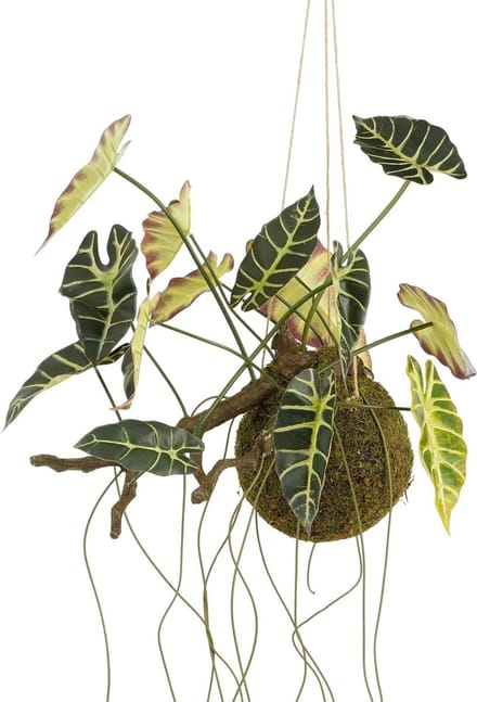 Mica Decorations Kunstplant Alocasia - 64x30x50 cm - foam - Groen