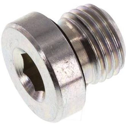 Plug M10 X 1 Staal NBR met Binnenzeskant 400bar [5 Stuks]