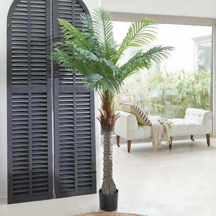 LOBERON Decoratieve potplant Zephyriel groen