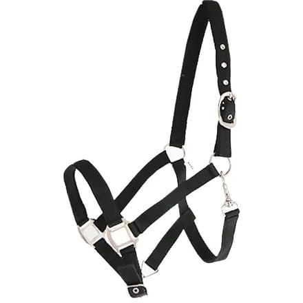 Nylon gevoerd paardenhalster Canter