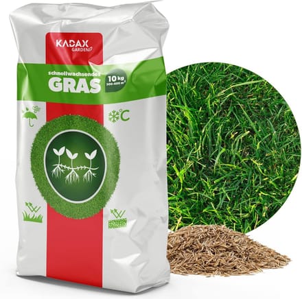Graszaad - Gazonkorrels - Dicht gazon - Snelgroeiend en vorstbestendig - 10 kg - Groen