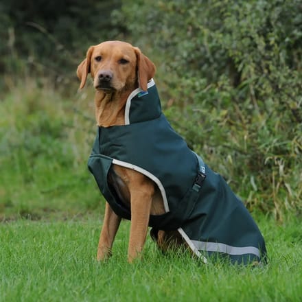 Hondenjas Bucas Greenline