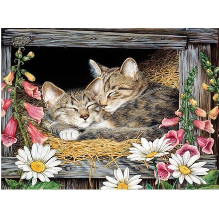 Animal Brodé de Diamants Chat Rond Complet Point de Croix Brodé de Diamants 20X30CM black