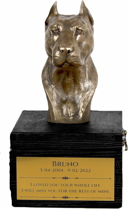 Urn hond met gravure en sculptuur van American Staffordshire Terrier
