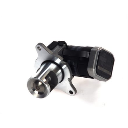 Borg Warner AGR-Ventiel WAHLER 7353D