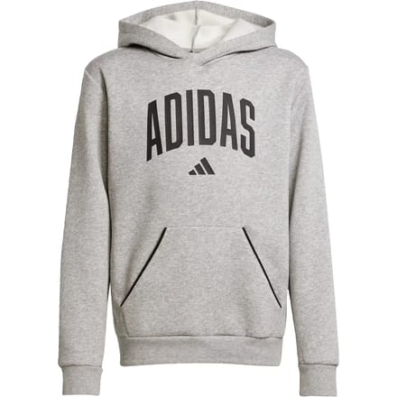 Junior Hoodie adidas Essentials Collegiate Typography