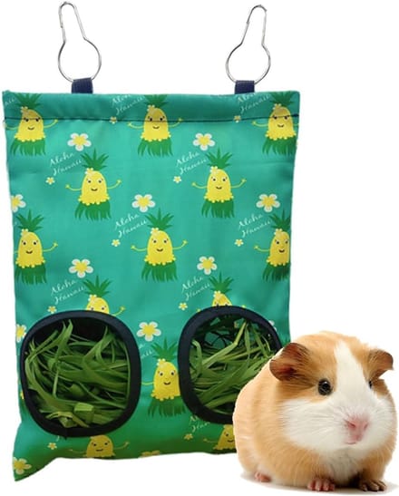 Rabbit Hay Feeder - Hanging Feeding Hay Storage - Guinea Pig Hay Feeder voor Bunny Chinchilla Hamster (2 Windows)