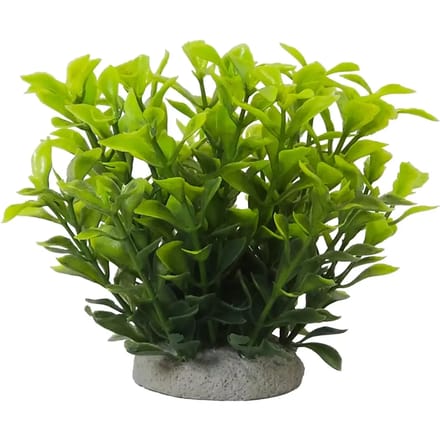 Aquariumdecoratie Nobby Pet Ludwigia Green