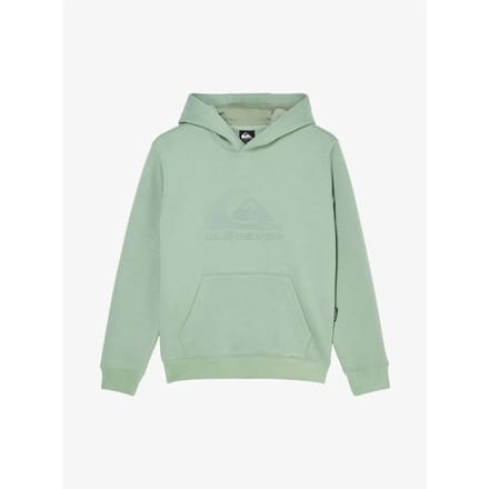 Quiksilver Comp Logo Kids Hoodie groen