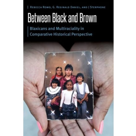 Between Black And Brown - Borderlands And Transcultural Studies - Rebecca Romo
