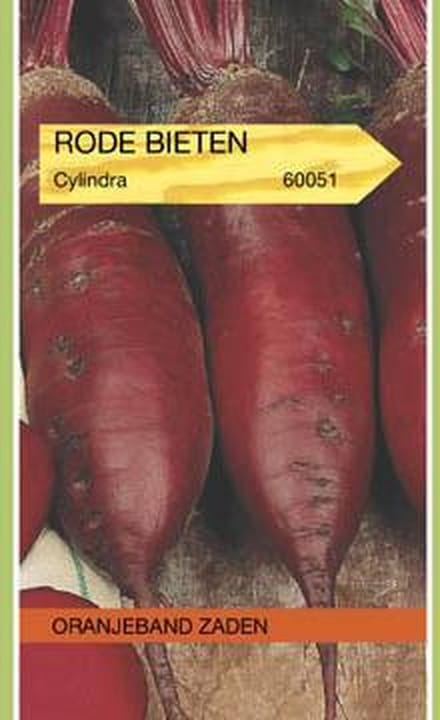 Rode Biet Cylindra