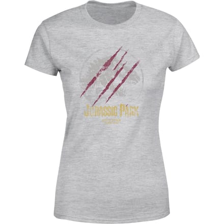 Jurassic Park Lost Control Women's T-Shirt - Grey - XS