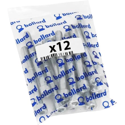 Set van 12 inbusschroeven P2R