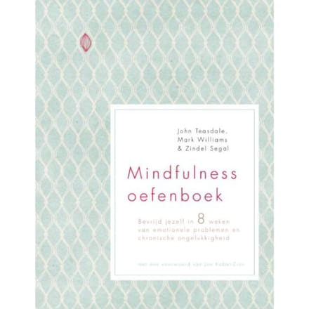Mindfulness Oefenboek - John Teasdale