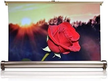 Projectiescherm - Draagbaar Scherm - Presentaties Geven - Wit Glasvezel - 20 Inch - Wit
