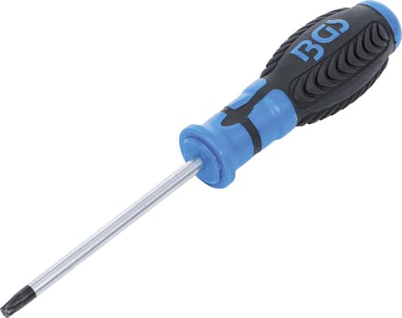 BGS Schroevendraaier T-profiel (voor Torx) T30 Bladlengte 100 mm - 4922