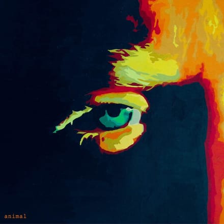 Animal - Gareth Dunlop
