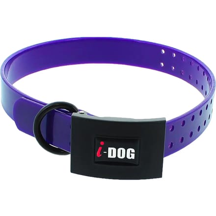 Hondenhalsband I-DOG Premium