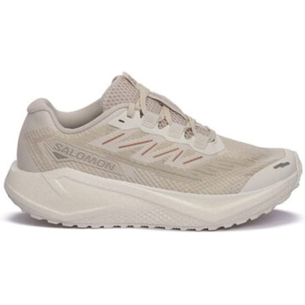 Sportieve Salomon AERO BLAZE 3 GRVL W 40 Dames