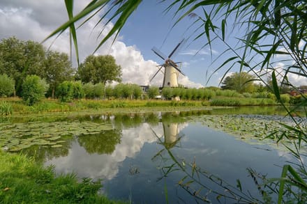 fotobehang molen Zuiderpark Rotterdam 450 x 260 cm - € 295,--