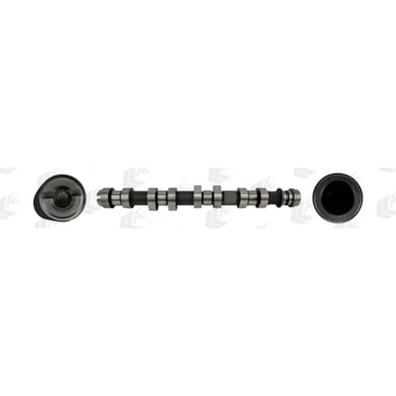 Nokkenas  AE CAM1022