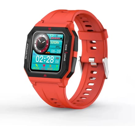 Aangesloten horloge Platyne