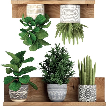 3D-effect stickers van groene planten op planken, 60 x 60 cm