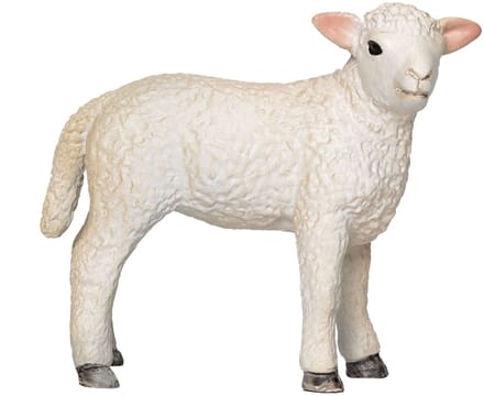 Mojo - Farmland Romney Lamb Standing - 381065