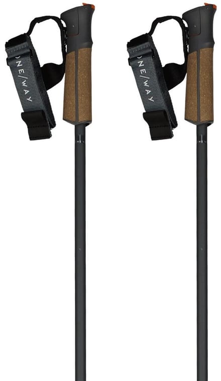 Fischer Gt 13 Comp Mag Stokken Bruin 130 cm